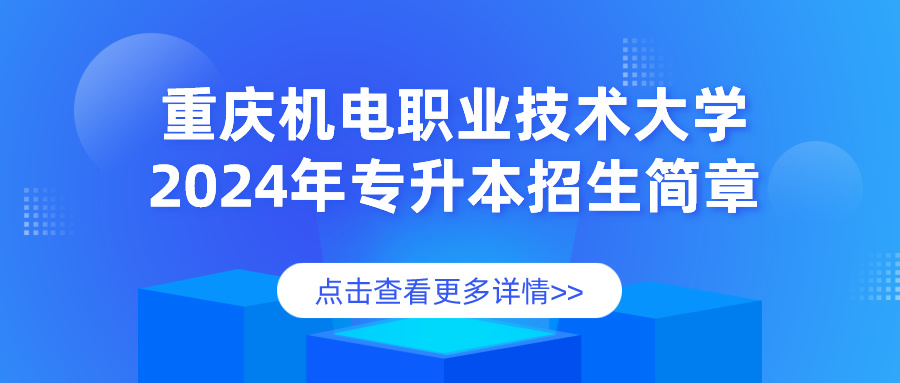 ���������ְҵ������ѧ��2024��ר������������